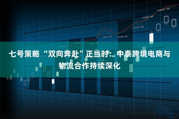 七号策略 “双向奔赴”正当时：中泰跨境电商与物流合作持续深化