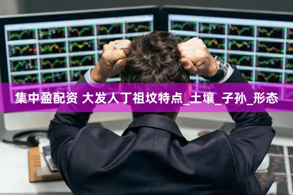集中盈配资 大发人丁祖坟特点_土壤_子孙_形态