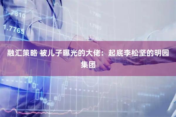 融汇策略 被儿子曝光的大佬：起底李松坚的明园集团