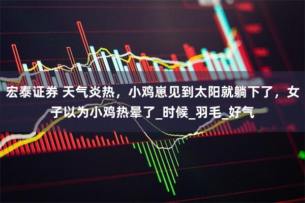 宏泰证券 天气炎热，小鸡崽见到太阳就躺下了，女子以为小鸡热晕了_时候_羽毛_好气