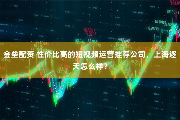 金垒配资 性价比高的短视频运营推荐公司，上海逐天怎么样？