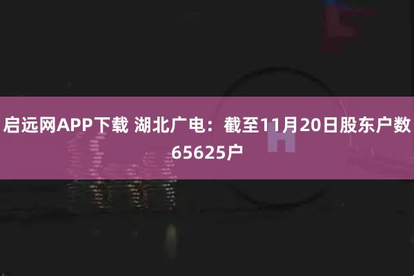 启远网APP下载 湖北广电：截至11月20日股东户数65625户